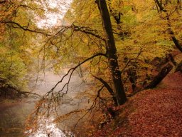 IMGP3823-Langs-moelledammen